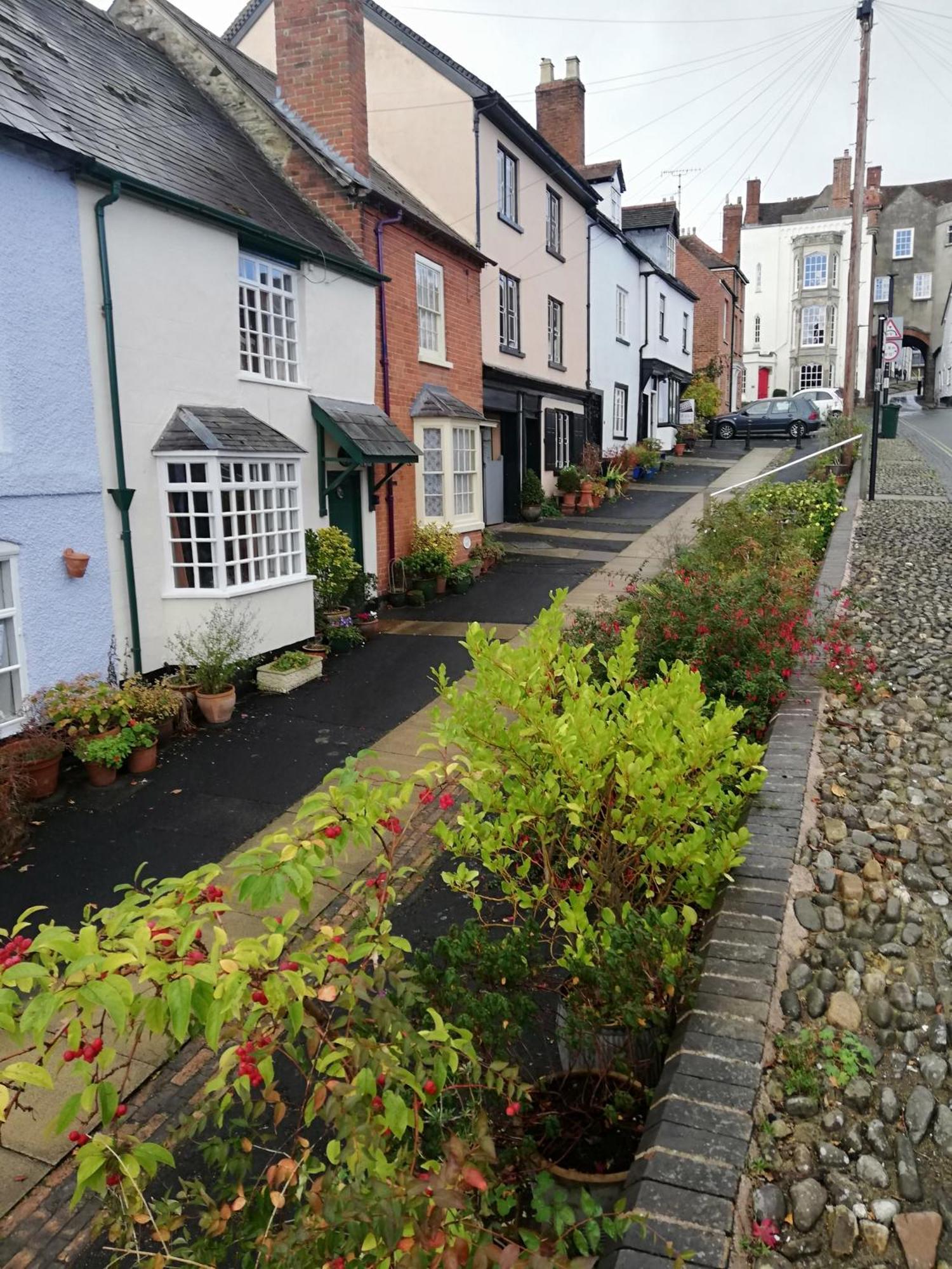 Toad Hall Ludlow Eksteriør billede